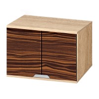 Антресоль «Визит»